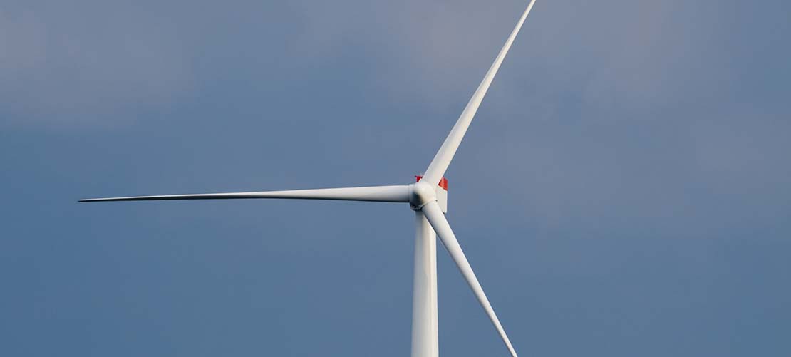 Reap The Wind PDF Free Download Reap The Wind PDF Free Download